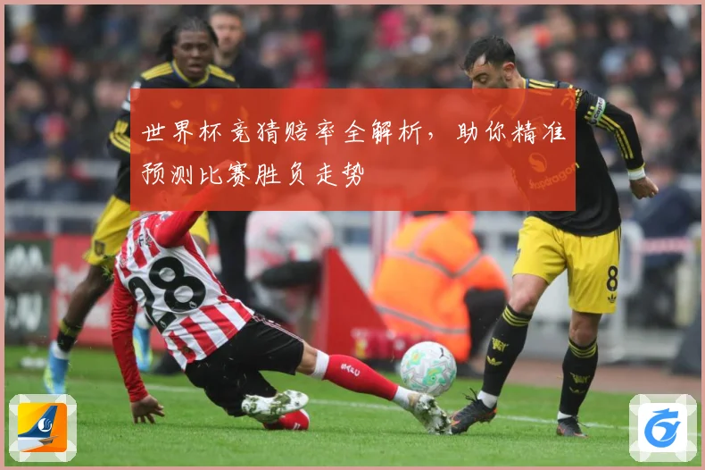 世界杯竞猜赔率全解析，助你精准预测比赛胜负走势